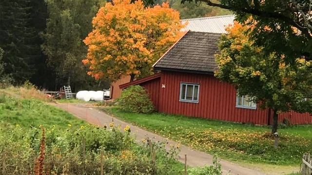 Vidaråsen landsby Helsetjeneste, Omsorgstjeneste, Sandefjord - 7