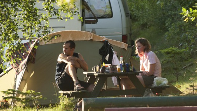Dalgård Camping Campingpladser, Norddjurs - 8