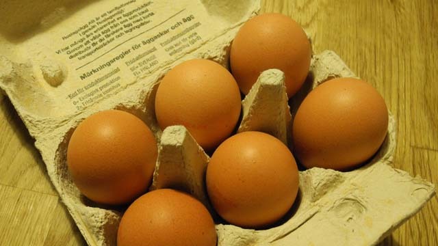 Roslags-Ägg Äggproduktion, Östhammar - 3