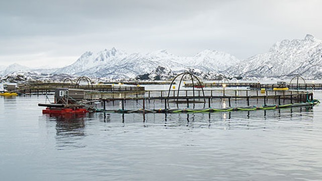 Norsk Havservice AS Undervannsarbeid, Ørland - 1