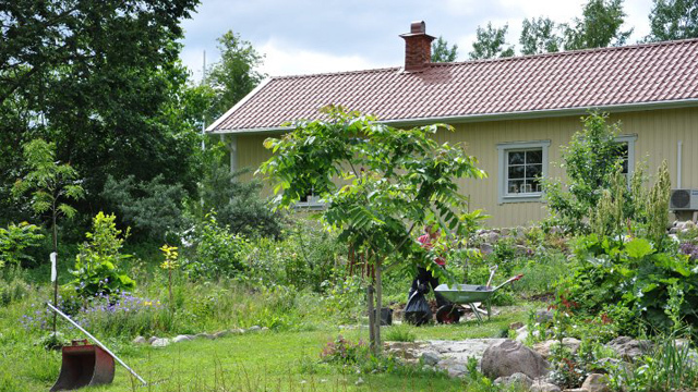 Trädgårdsservice Peter Tetzlaff AB Trädgårdsanläggare, Lekeberg - 1