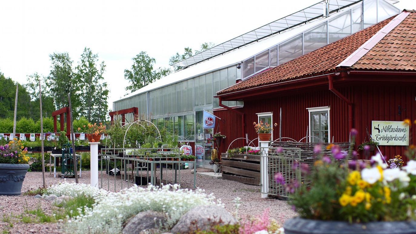 Niklasdams Trädgård Plantskola, Handelsträdgård, Kristinehamn - 5