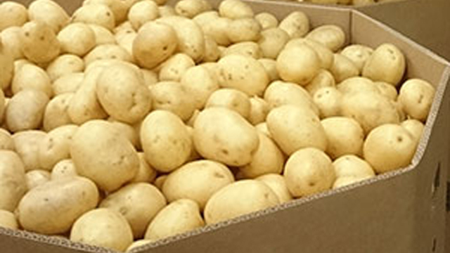 Gränsbo Potatis AB Frukt, grönsaker, potatis - Odlare, grossist, Vellinge - 4
