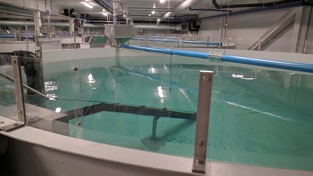 Artec Aqua AS Fiskeoppdrett, Ålesund - 1