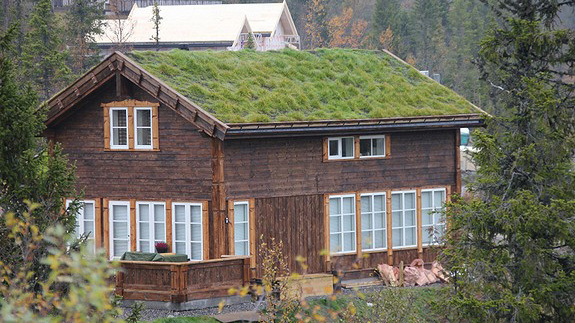 Moen Design Fjellhytte