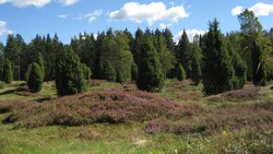 Familjerådgivning vetlanda