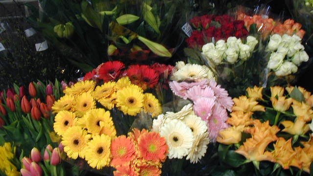 Bellis Blomster Blomsterbutik, Syddjurs - 4