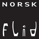 Norsk Flid Husfliden Arendal