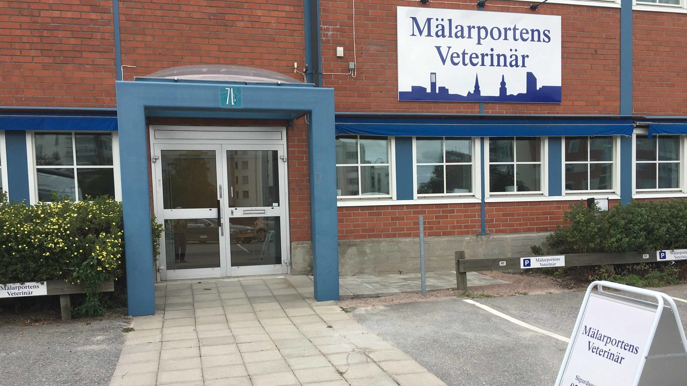 Mälarportens Veterinärklinik Djursjukhus, djurkliniker, Västerås - 3