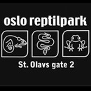 Oslo Reptilpark AS logo