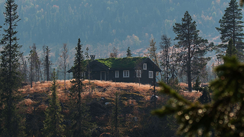 Reinsjøfjell Hytteområde AS Allmenning, Sigdal - 1