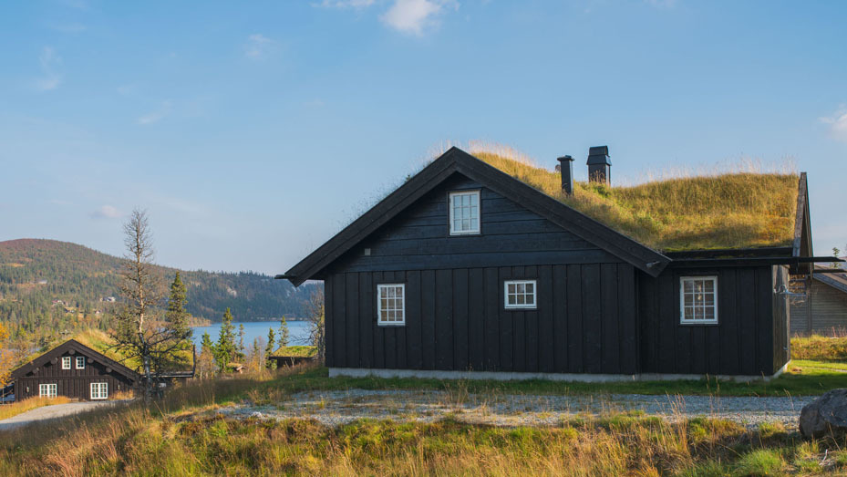 Reinsjøfjell Hytteområde AS Allmenning, Sigdal - 5