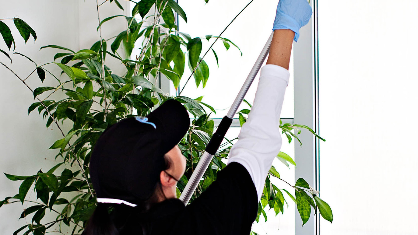 Renax Städ AB Städfirma, Helsingborg - 3