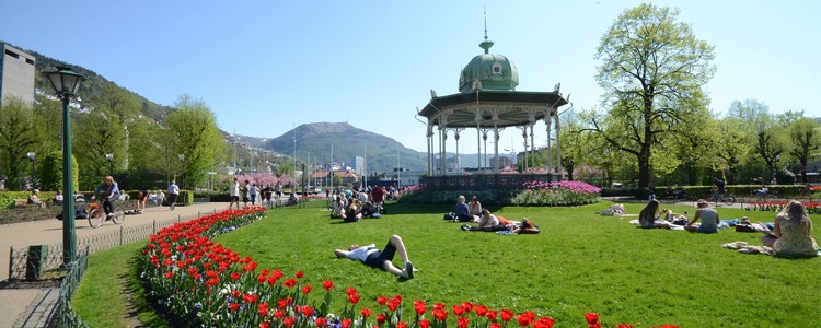 Bergen Kommune Bergen Bedrift Gulesider No