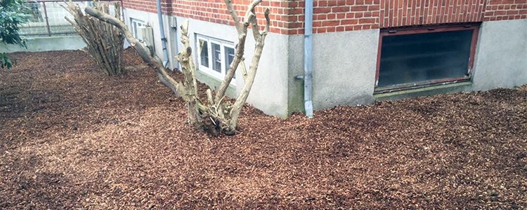 K T Skov Og Haveservice Koge Firma Krak Dk