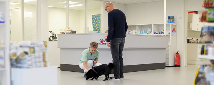 Sandnes veterinærkontor