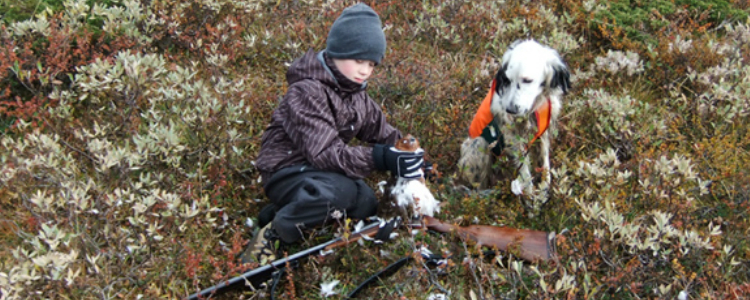 Vaga Fjellstyre Vaga Bedrift Gulesider No