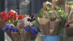 roberts blomster roberts blomster
