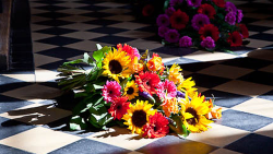 blomsterhandler i hjørring blomsterhandler i hjørring
