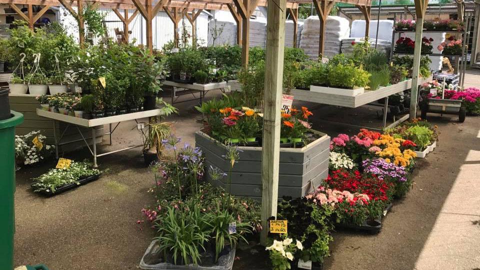 tusindfryd blomster haderslev tusindfryd blomster haderslev
