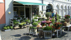 blomster i svendborg blomster i svendborg