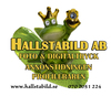 Hallstabild AB logo