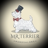 Hundsalong Mr.Terrier AB logo