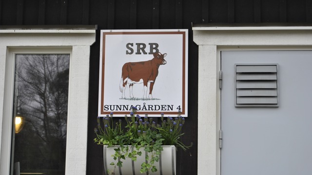 SRB-Föreningen Jordbruk, Hörby - 10