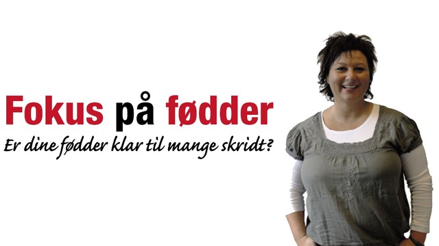 Fokus På Fødder v/Lone Toft Fodplejer, Sønderborg - 1