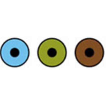 Fokus Øyeklinikk logo