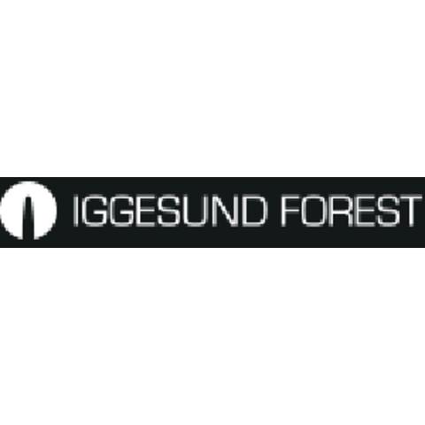 Iggesund Forest AB