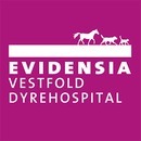 Evidensia Vestfold Dyrehospital logo