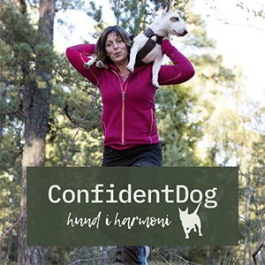 ConfidentDog - Värmland