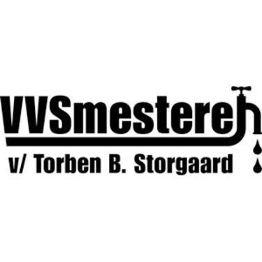 VVSmesteren logo