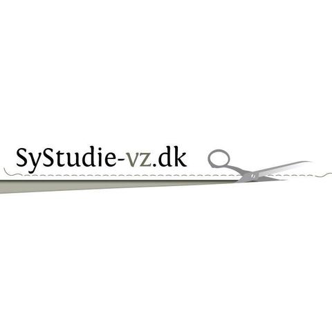 Systudie-Vz v/Virginija Ziedaite logo