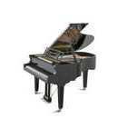 Din Pianostämmare i Siljansbygden / Johan Michael Björn Thomasson