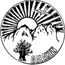 Föreningen Galaxen logo