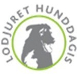 Lodjuret Hunddagis logo
