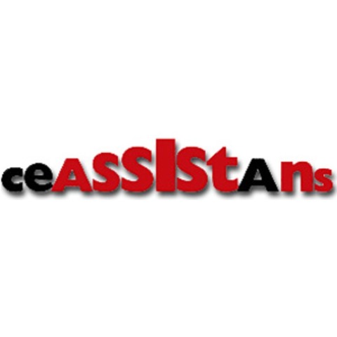 CE-Assistans Sverige AB logo