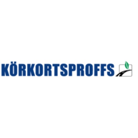 Körkortsproffs