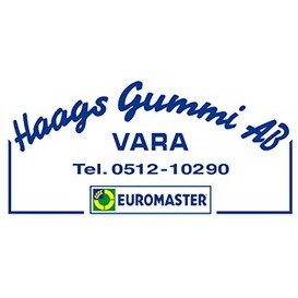 Haags Gummi / Däckpartner logo