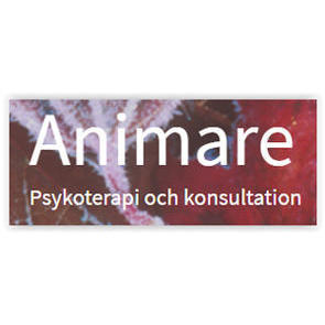 Animare Psykoterapi och Konsultation