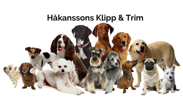 Håkanssons Klipp & Trim Hundvård, Höör - 1