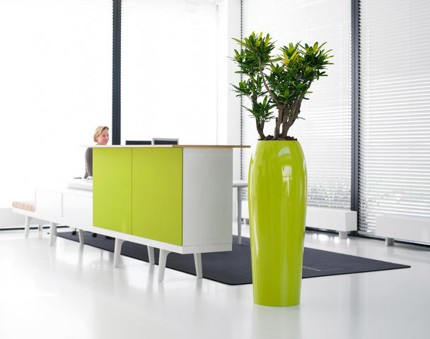 NGD Nordic Green Design AB Blommor, växter - Grossist, producent, Burlöv - 2