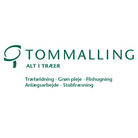 Tom Malling - Alt i Træer
