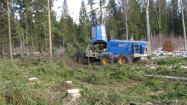 Väckelsångs Skogsmaskiner AB Trädfällning, trädvård, Tingsryd - 10