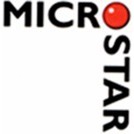 Microstar Informationsteknik ApS logo
