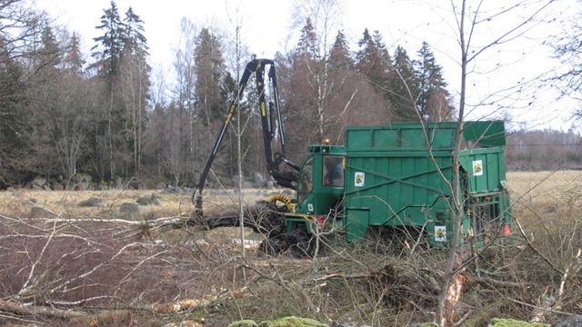 Väckelsångs Skogsmaskiner AB Trädfällning, trädvård, Tingsryd - 4