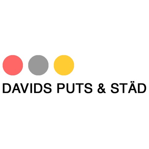 Davids Puts & Städ logo