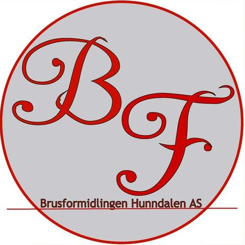 Brusformidlingen Hunndalen AS